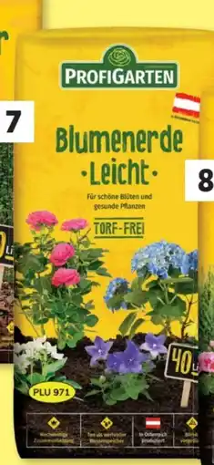 Lidl ProfiGarten Blumenerde Angebot