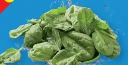 Lidl Bio-Babyspinat Angebot