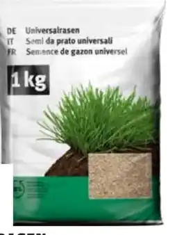 OBI Universal Rasen Angebot