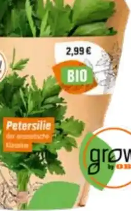 OBI Grow by Obi Bio Kräuter Angebot