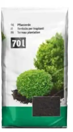 OBI Pflanzerde Angebot