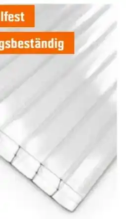 OBI Hohlkammerplatte Angebot