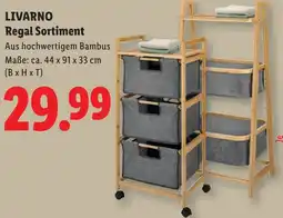 Lidl LIVARNO Regal Sortiment Angebot