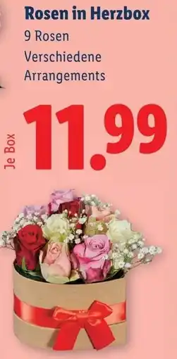 Lidl Rosen in Herzbox Angebot