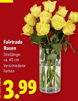 Lidl Fairtrade Rosen Angebot