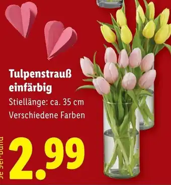 Lidl Tulpenstrauß einfärbig Angebot