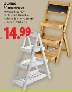 Lidl Livarno pflanzentreppe Angebot