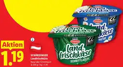 Lidl Schärdinger Landfrischkäse Angebot
