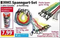 Norma Spanngurt Set Angebot