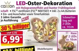 Norma LED-Oster Dekoration Angebot
