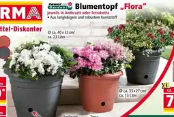 Norma Blumentopf Flora Angebot