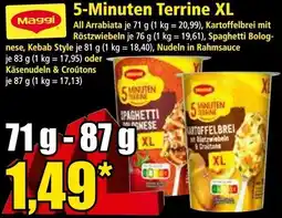 Norma 5-Minuten Terrine XL Angebot
