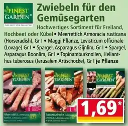 Norma Zwiebeln für den Gemüsegarten Angebot