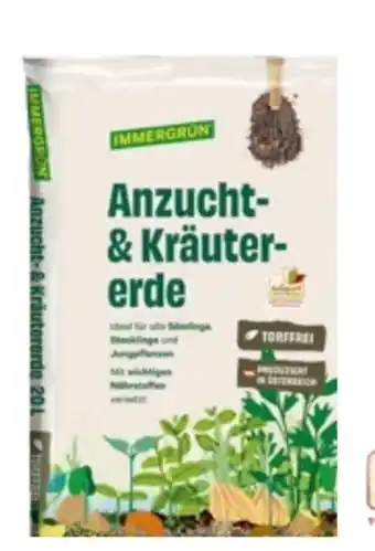 Immergrün Anzucht- & Kräutererde