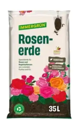 Lagerhaus Immergrün Rosenerde Angebot