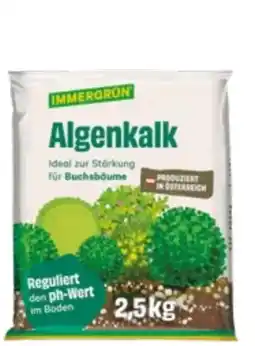 Lagerhaus Immergrün Algenkalk Angebot