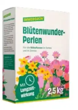 Lagerhaus Immergrün Blütenwunder Perlen Angebot
