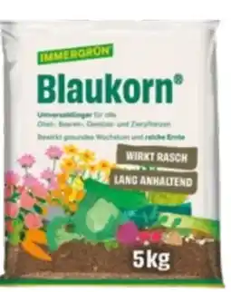 Lagerhaus Immergrün Blaukorn Angebot