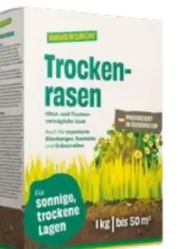 Lagerhaus Immergrün Rasen Angebot