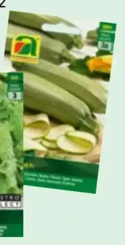 Lagerhaus Austrosaat Tütensamen Gemüse Angebot