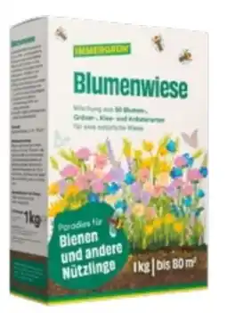 Lagerhaus Immergrün Blumenwiese Angebot