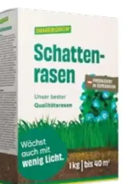 Lagerhaus Immergrün Schattenrasen Angebot