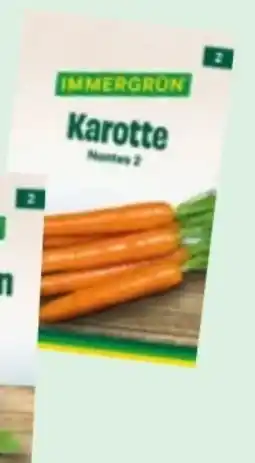 Lagerhaus Immergrün Tütensamen Gemüse Angebot