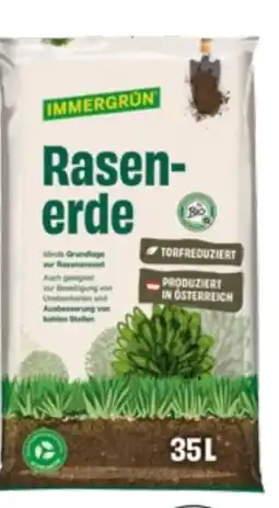 Lagerhaus Immergrün Rasenerde Angebot