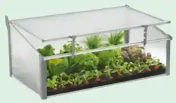 Lagerhaus Juwel Frühbeet Comfort Easy-Fix Angebot