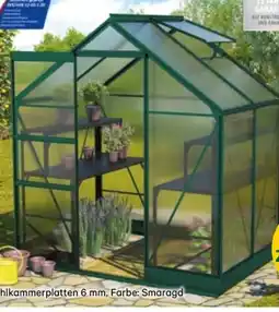 Lagerhaus Vitavia Garden Products Gewächshaus Apollo Angebot