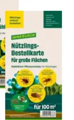 Lagerhaus Immergrün Nützlingsbestellkarten Angebot