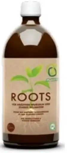 Lagerhaus Roots Angebot
