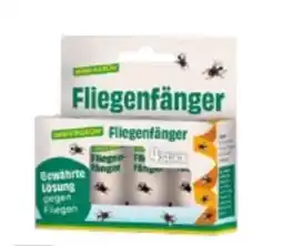 Lagerhaus Immergrün Fliegenfänger Angebot