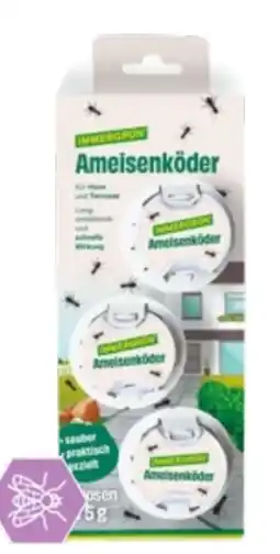 Lagerhaus Immergrün Ameisenköder Angebot