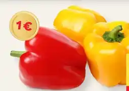 MPreis Paprika Angebot