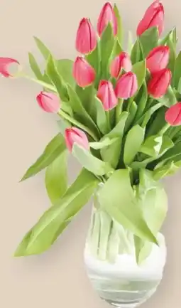 MPreis Schnittblumen Tulpen Angebot
