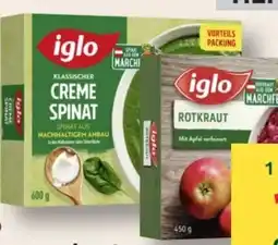 MPreis Iglo Cremespinat Angebot