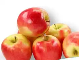 MPreis Äpfel Gala Angebot