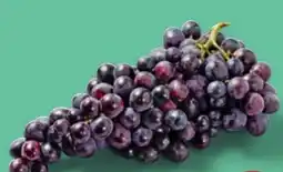 PENNY Trauben Angebot