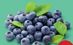 PENNY Heidelbeeren Angebot