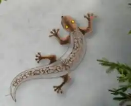 Lagerhaus LED-Wanddeko Gecko Angebot