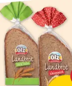 PENNY Ölz Landbrot Angebot
