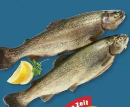 PENNY Forelle Angebot