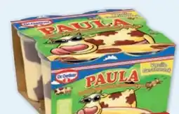 PENNY Dr. Oetker Paula Pudding Angebot