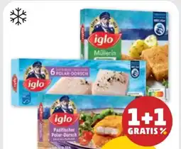 PENNY Iglo Polardorsch Angebot