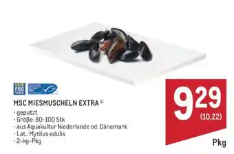 MSC MIESMUSCHELN EXTRA