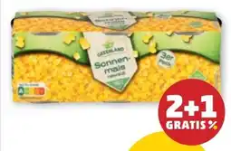 PENNY Greenland Sonnenmais Angebot