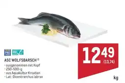 Metro ASC WOLFSBARSCH Angebot