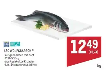 ASC WOLFSBARSCH