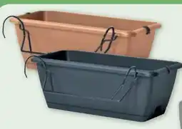 PENNY Blumenkasten Angebot